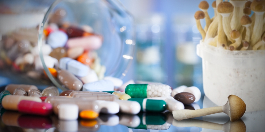 ¿Son las setas mágicas la respuesta a la adicción a los opioides?