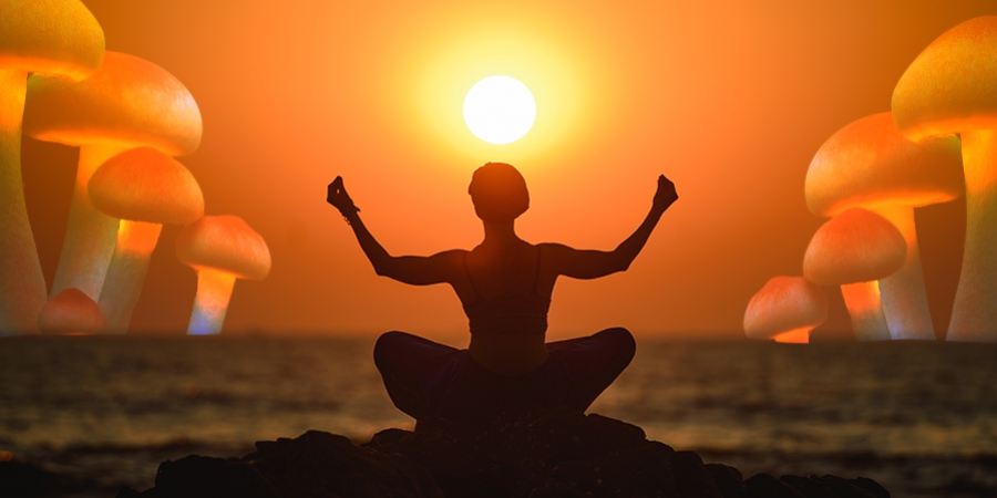 Setas Mágicas Y Yoga: Una Combinación Perfecta