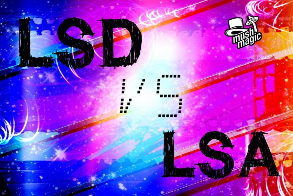 ¿En qué se diferencian el LSA y el LSD?