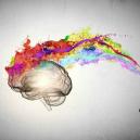 Vídeo interesante: cómo interactúan las setas mágicas con el cerebro