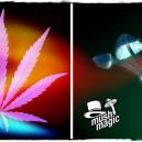 Setas Vs Cannabis: Las Drogas Que Encandilan A Todo El Mundo